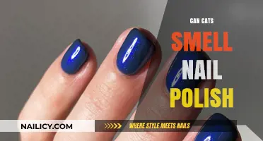 Can Cats Smell Nail Polish? Uncovering Feline Sensitivity to Strong Scents