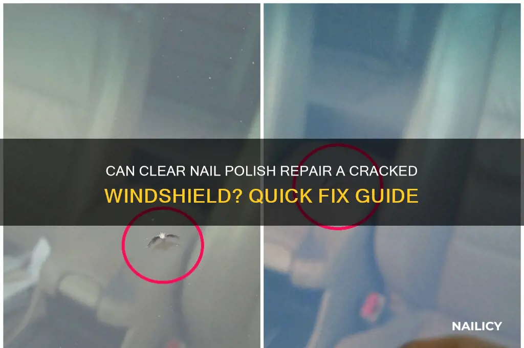 can clear nail polish fix cracked windshield