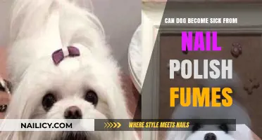 Can Nail Polish Fumes Make Your Dog Sick? Find Out
