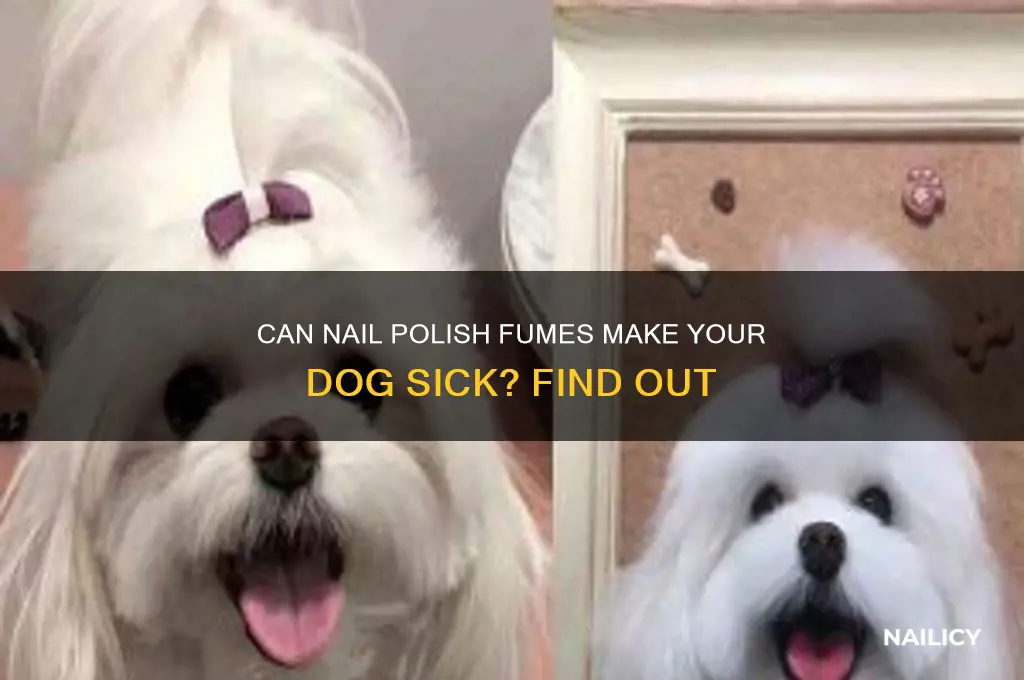 can dog become sick from nail polish fumes