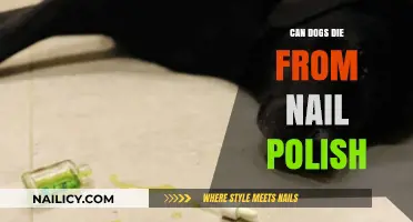 Can Nail Polish Be Fatal to Dogs? What Pet Owners Need to Know