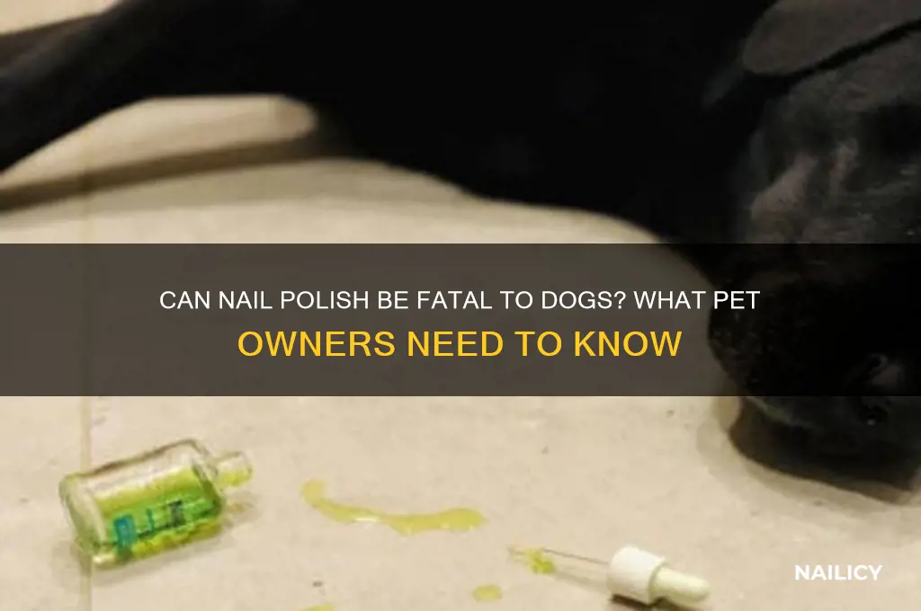 can dogs die from nail polish