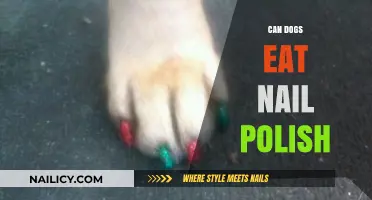 Can Dogs Eat Nail Polish? Safety Tips and Risks Explained