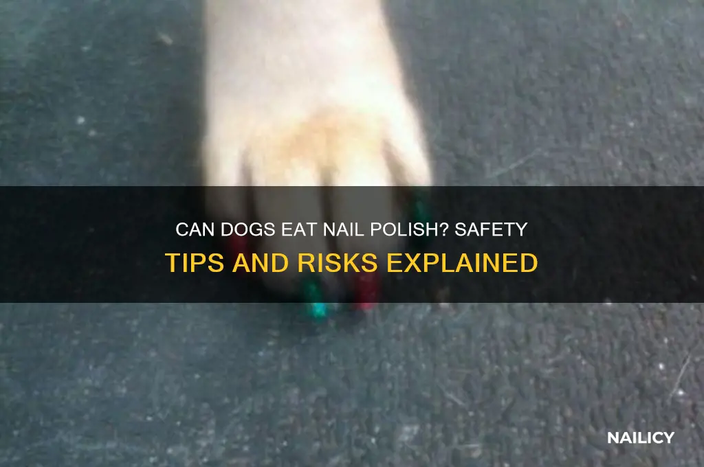 can dogs eat nail polish