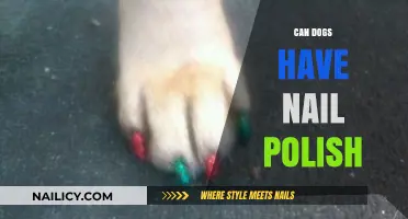 Can Dogs Wear Nail Polish? Safety Tips for Pet Owners