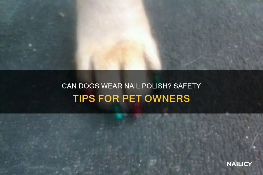 can dogs have nail polish