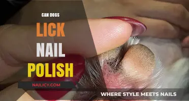 Can Dogs Lick Nail Polish? Safety Tips for Pet Owners