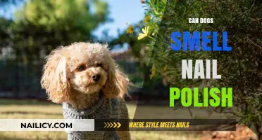 Can Dogs Smell Nail Polish? Uncovering the Truth Behind Their Sense