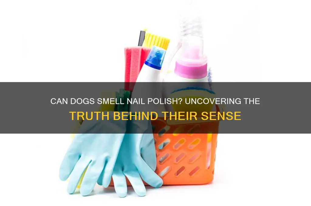 can dogs smell nail polish