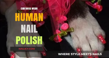 Can Dogs Wear Human Nail Polish? Safety Tips and Alternatives