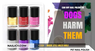 Is Dry Nail Polish on Dogs Safe or Harmful?