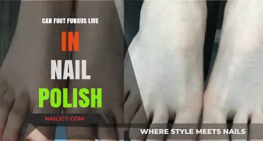 Can Foot Fungus Survive in Nail Polish? Uncovering the Truth