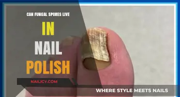 Can Fungal Spores Survive in Nail Polish? Uncovering the Truth