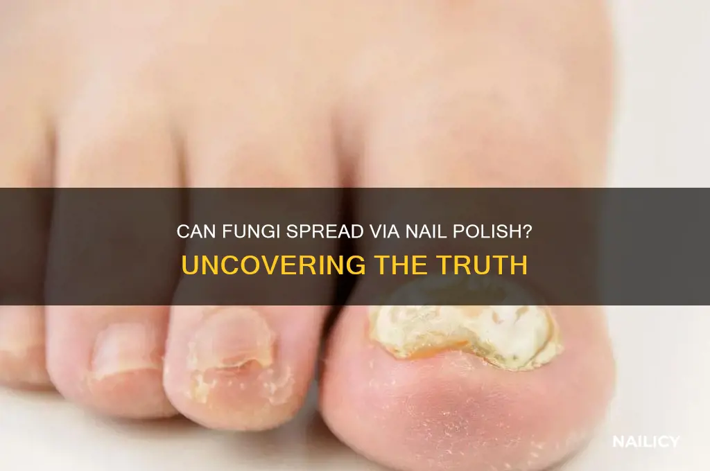 can fungi be transmitted through nail polish