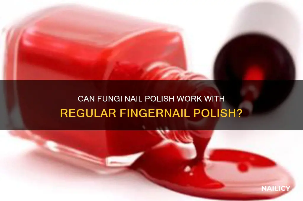 can fungi nail take fingernail polish