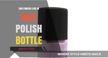 Can Fungus Thrive in Your Nail Polish Bottle? Surprising Facts