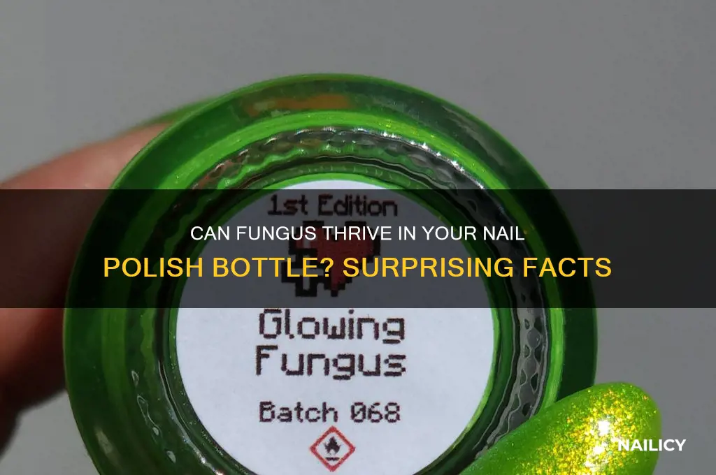 can fungus live in nail polish bottle