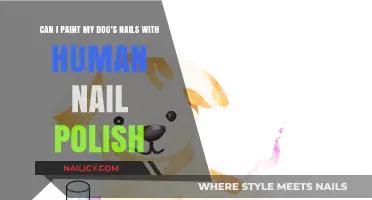 Is It Safe to Use Human Nail Polish on Dogs?