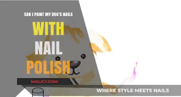 Is It Safe to Paint Your Dog's Nails with Nail Polish?