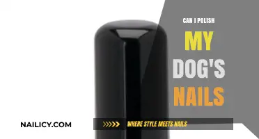 Can You Polish Your Dog's Nails? Tips and Safety Guide