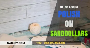 Preserving Sand Dollars: Using Clear Nail Polish for Longevity