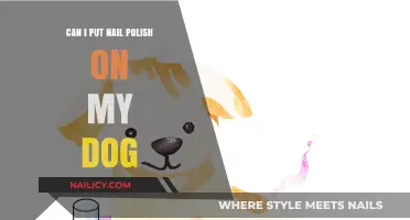 Is It Safe to Paint Your Dog's Nails with Polish?