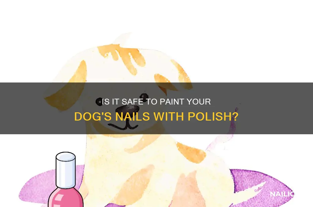can i put nail polish on my dog
