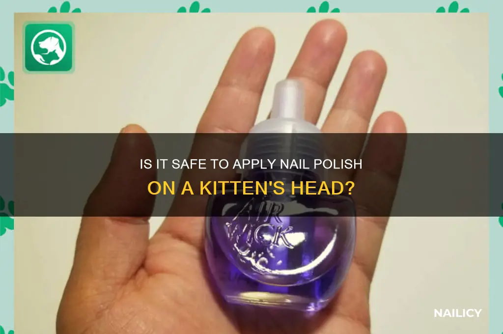 can i put nail polish on the kitten