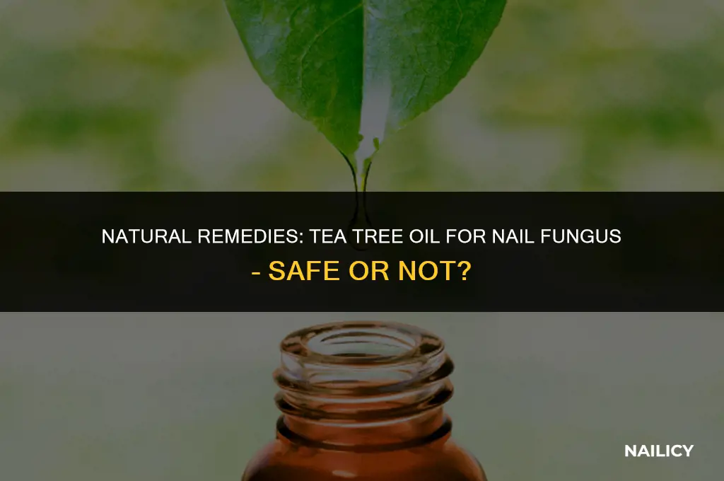 can i put straight tea tree oil on nail fungus