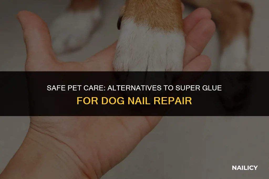 can i put super glue on my dog