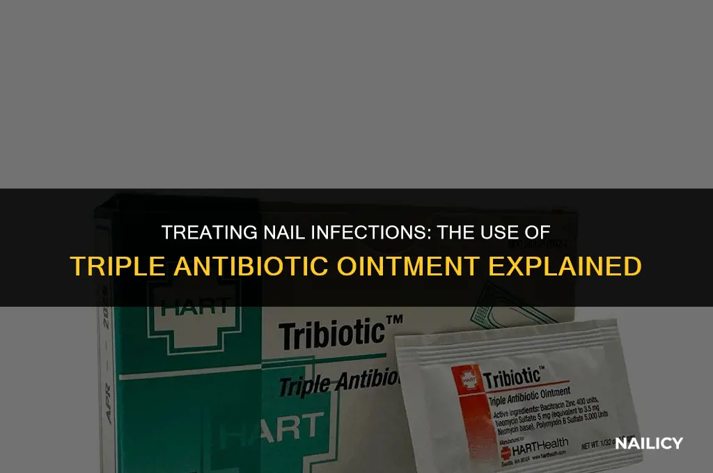 can i put triple antibiotic ointment under my nail