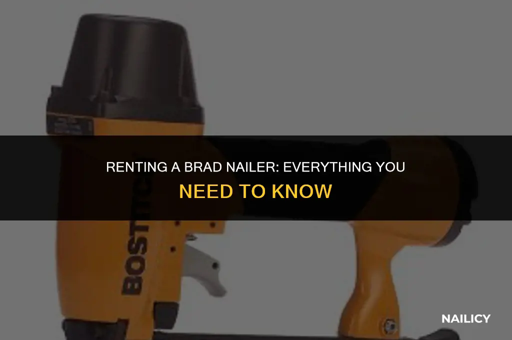 can i rent a brad nailer