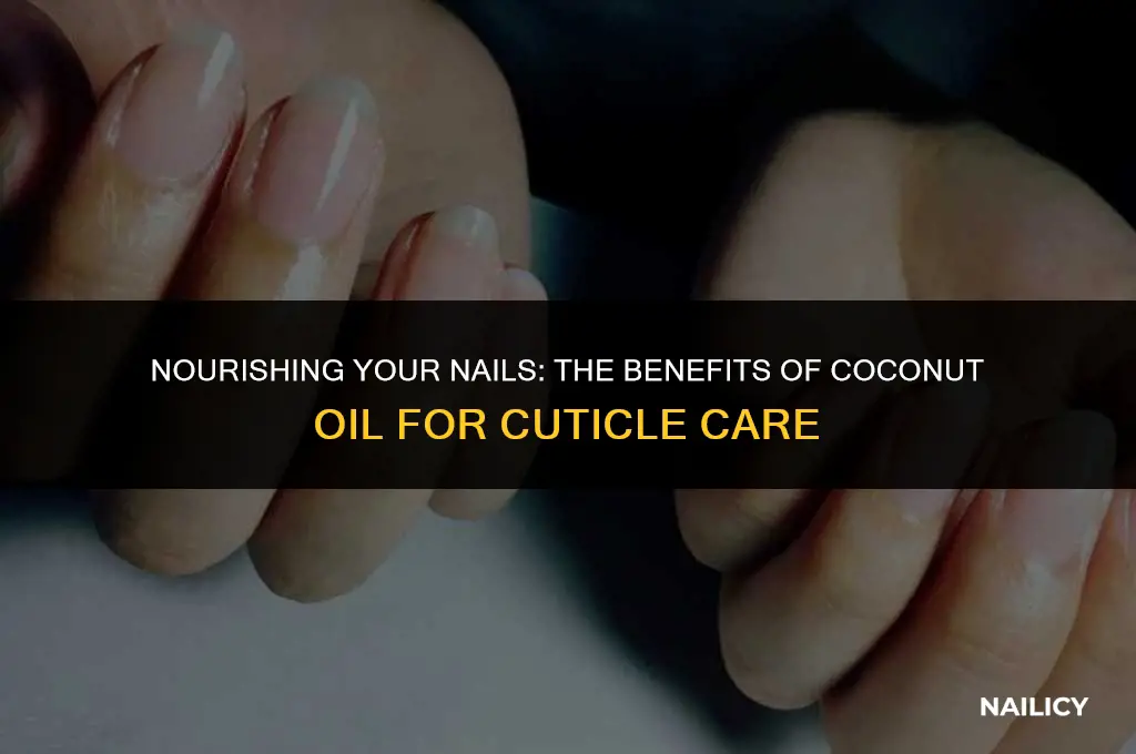 can i rub coconut oil on my nails