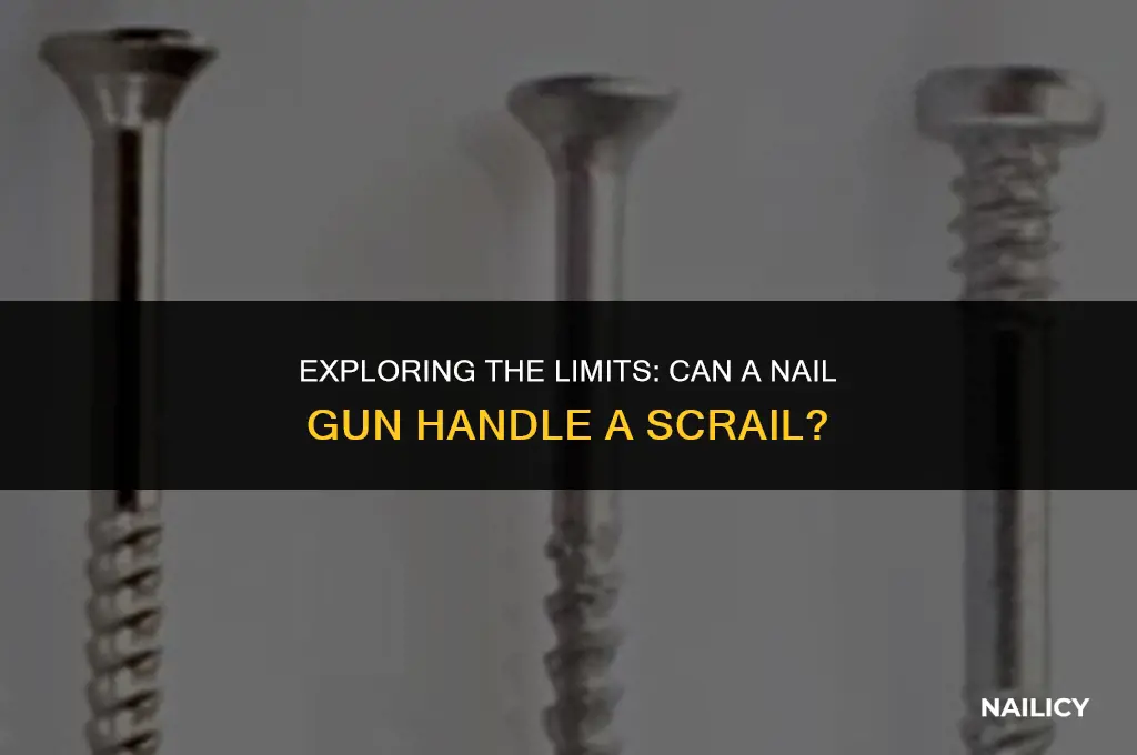 can i run a scrail through a nail gun