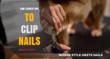 Sedating Your Dog for Nail Clipping: A Guide for Pet Owners