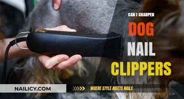 How to Sharpen Dog Nail Clippers: A Step-by-Step Guide