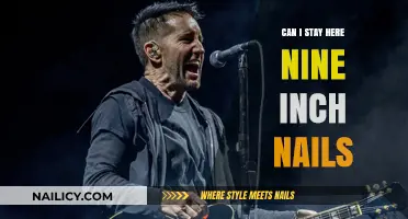 Exploring the Haunting Lyrics of Nine Inch Nails' 'Can I Stay Here?