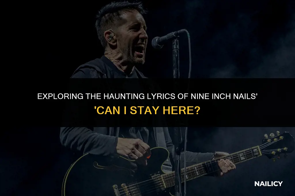 can i stay here nine inch nails