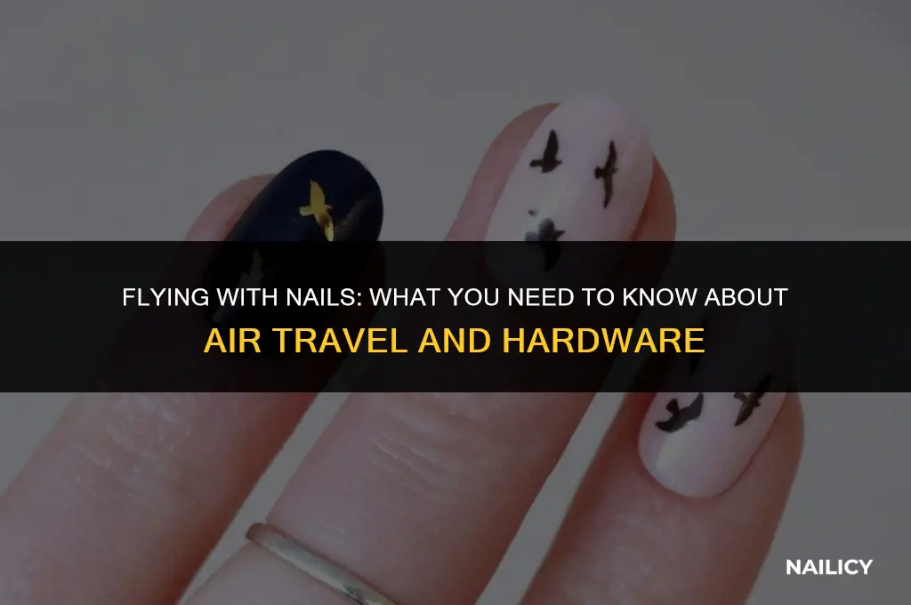 can i take 16 penny nails on a plane