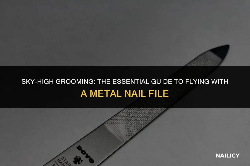 can i take a metal nail file on a plane