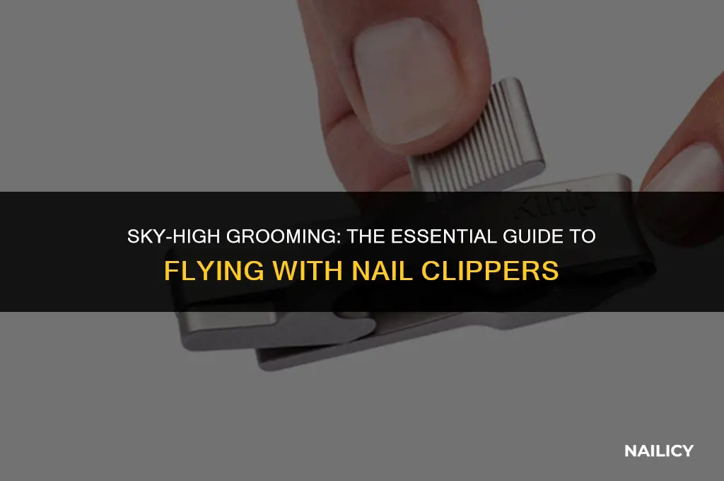can i take a nail clipper on an airplane