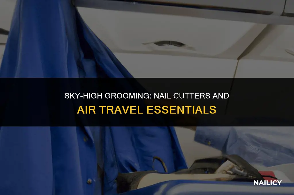 can i take a nail cutter on a plane