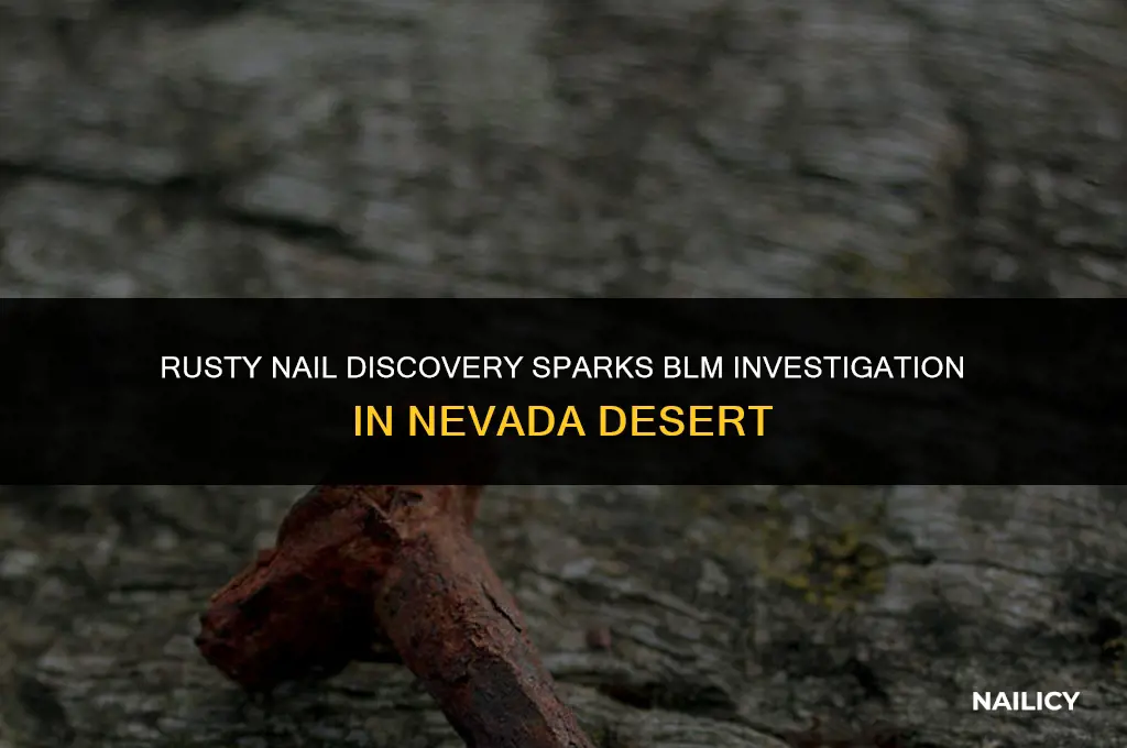 can i take afound rusty nail on blm in nevada