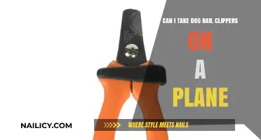 Paws and Reflect: Can You Take Dog Nail Clippers on a Plane?