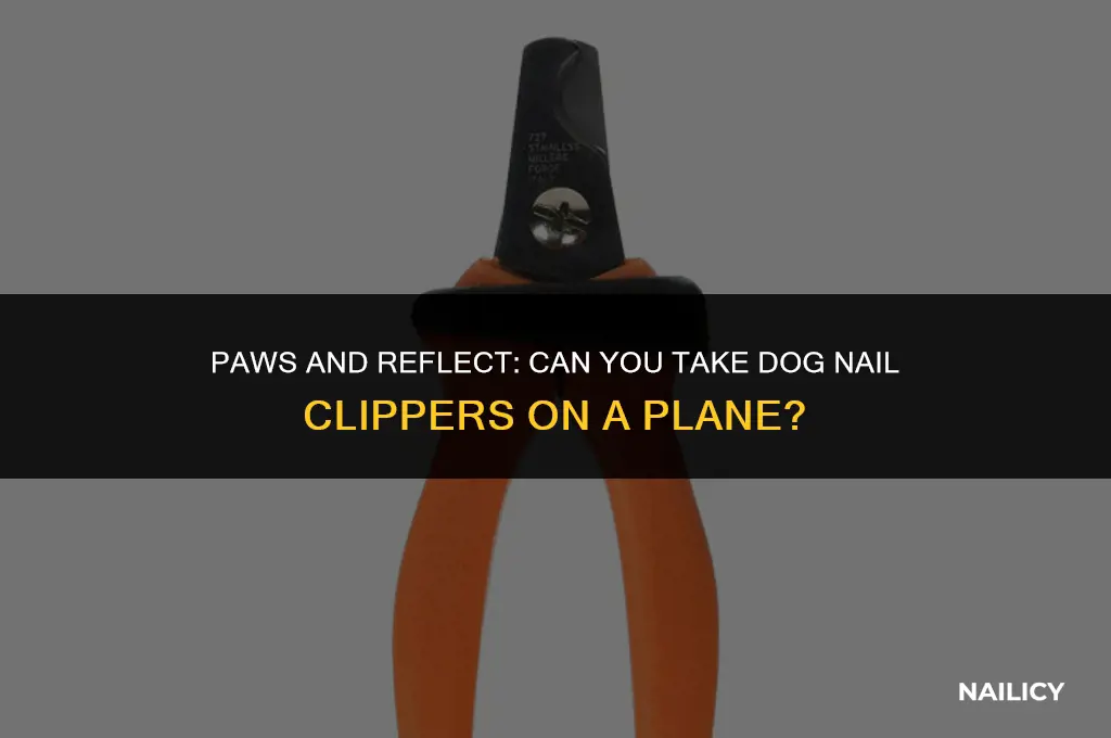 can i take dog nail clippers on a plane
