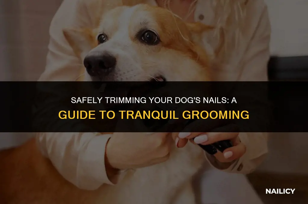 can i tranquilze my dog to clip his nails