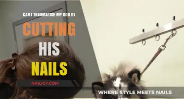 Can I Traumatize My Dog by Cutting His Nails?
