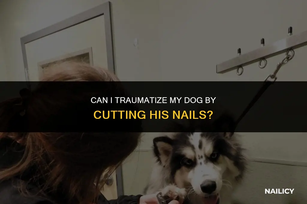 can i traumatise my dog by cutting his nails