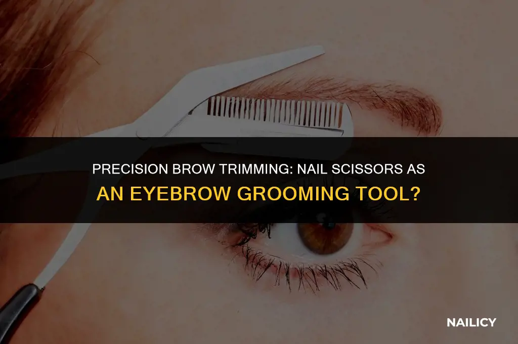 can i trim eyebrow hair with nail scissors