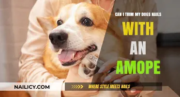 Safely Trimming Your Dog's Nails: Can an Amope Be Used?